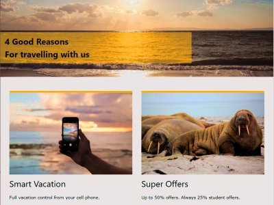 Travel Company